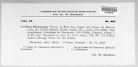 Aecidium pulmonariae image